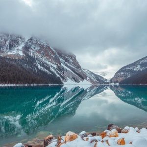 Meet your Posher, Jake